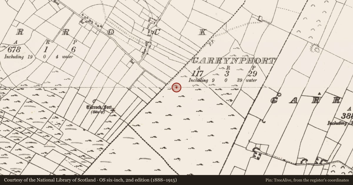 Ordnance Survey six-inch map, 2nd edition (1888–1915) covering the location of Hut site, Garrynphort, County Roscommon, with a pin at the register's coordinates