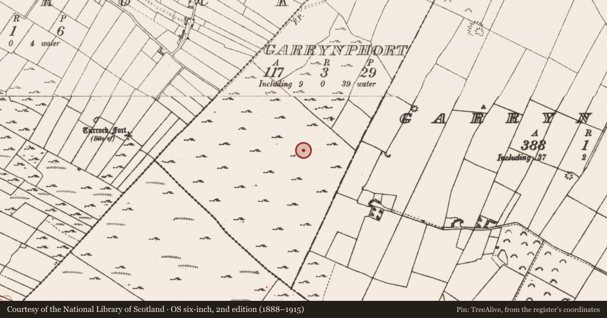 Ordnance Survey six-inch map, 2nd edition (1888–1915) covering the location of Ringfort - cashel, Garrynphort, County Roscommon, with a pin at the register's coordinates