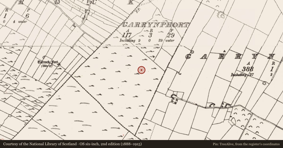 Ordnance Survey six-inch map, 2nd edition (1888–1915) covering the location of House - indeterminate date, Garrynphort, County Roscommon, with a pin at the register's coordinates