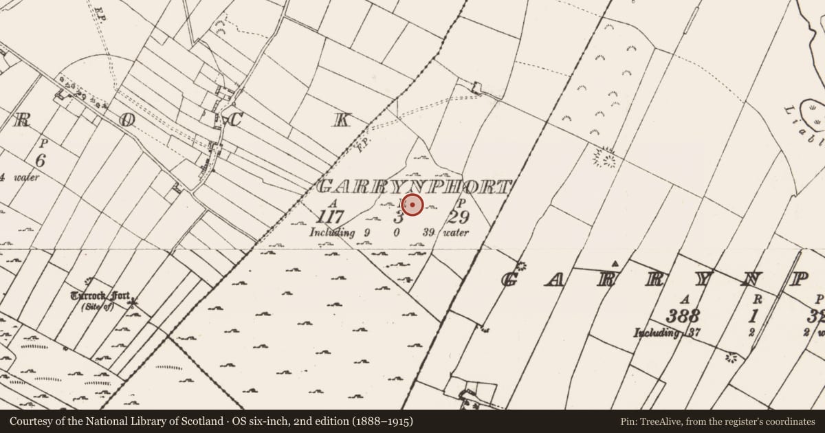 Ordnance Survey six-inch map, 2nd edition (1888–1915) covering the location of Road - road/trackway, Garrynphort, County Roscommon, with a pin at the register's coordinates