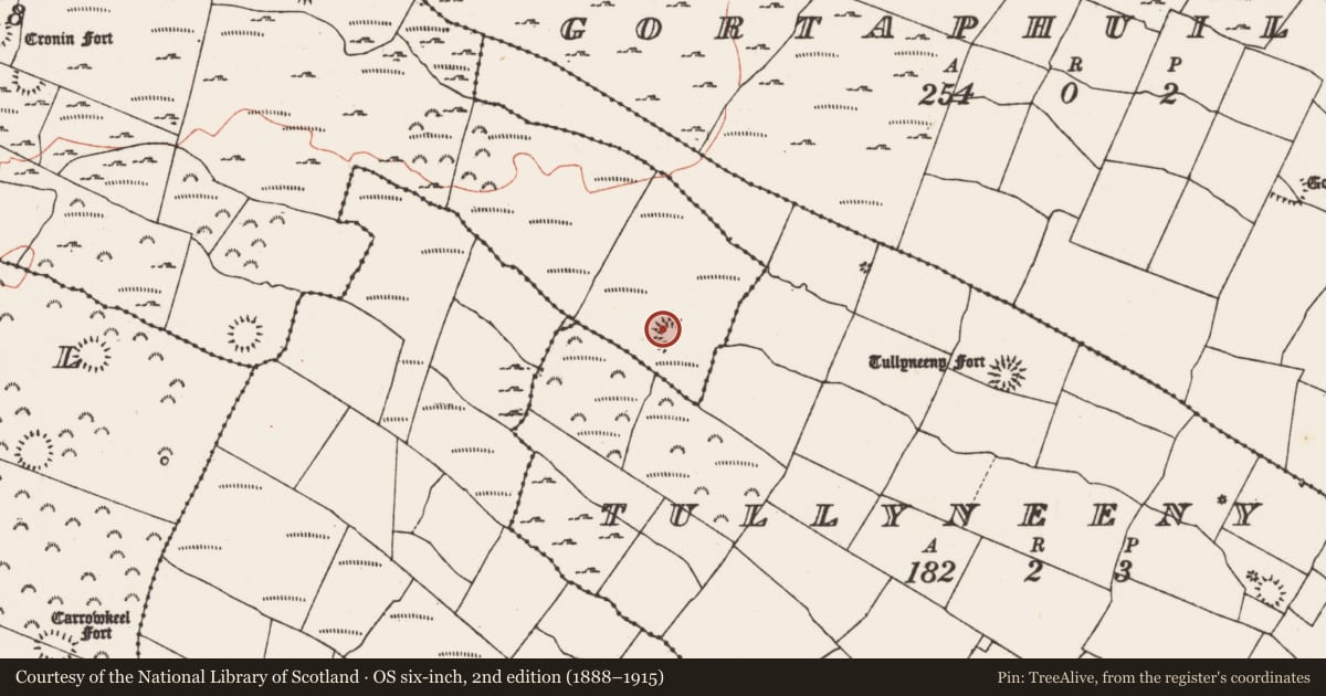 Ordnance Survey six-inch map, 2nd edition (1888–1915) covering the location of Ringfort - rath, Cronin, County Roscommon, with a pin at the register's coordinates