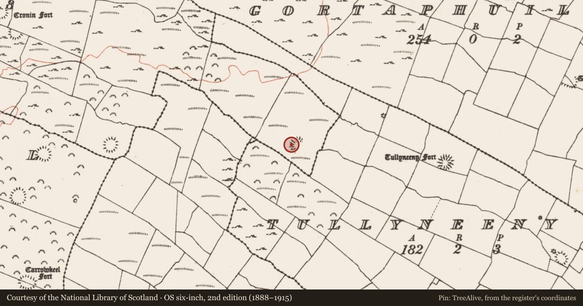 Ordnance Survey six-inch map, 2nd edition (1888–1915) covering the location of House - indeterminate date, Cronin, County Roscommon, with a pin at the register's coordinates
