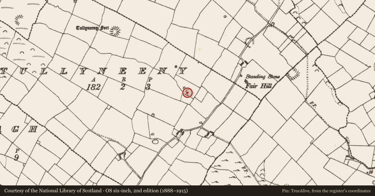 Ordnance Survey six-inch map, 2nd edition (1888–1915) covering the location of Ringfort - rath, Tullyneeny, County Roscommon, with a pin at the register's coordinates