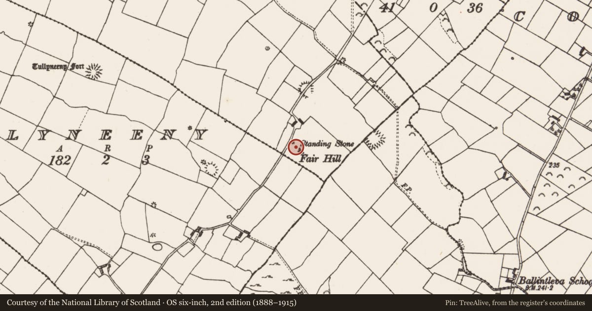 Ordnance Survey six-inch map, 2nd edition (1888–1915) covering the location of Cross - Wayside cross, Gortaphuill, County Roscommon, with a pin at the register's coordinates