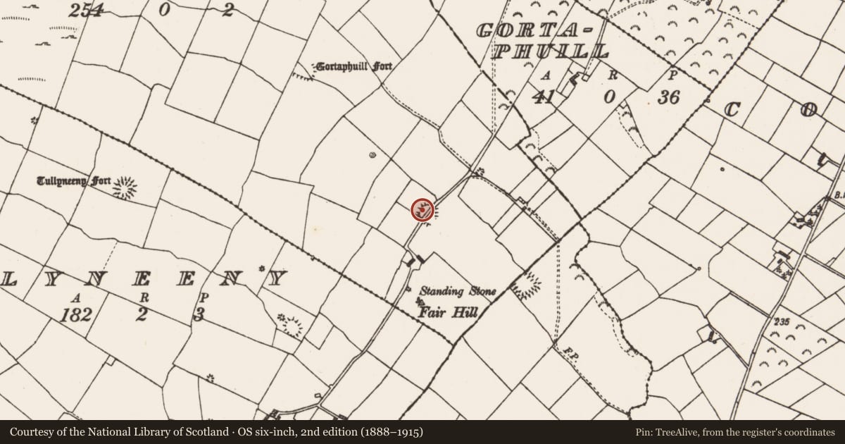 Ordnance Survey six-inch map, 2nd edition (1888–1915) covering the location of Ringfort - rath, Gortaphuill, County Roscommon, with a pin at the register's coordinates