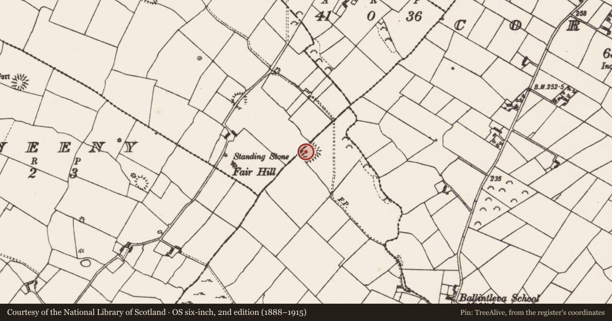 Ordnance Survey six-inch map, 2nd edition (1888–1915) covering the location of Moated site, Cuilleenirwan, County Roscommon, with a pin at the register's coordinates