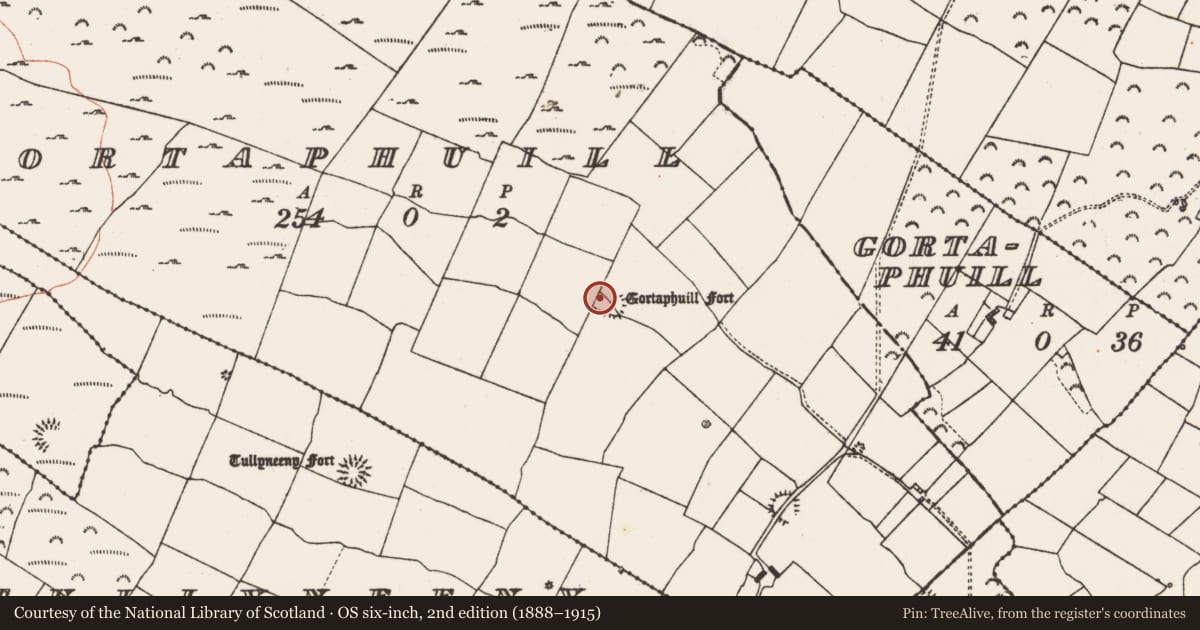 Ordnance Survey six-inch map, 2nd edition (1888–1915) covering the location of Ringfort - rath, Gortaphuill, County Roscommon, with a pin at the register's coordinates