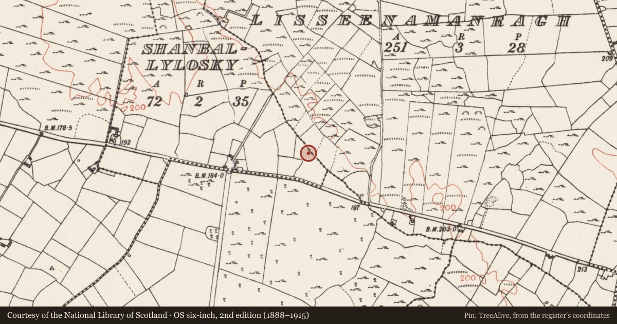 Ordnance Survey six-inch map, 2nd edition (1888–1915) covering the location of Field boundary, County Roscommon, with a pin at the register's coordinates