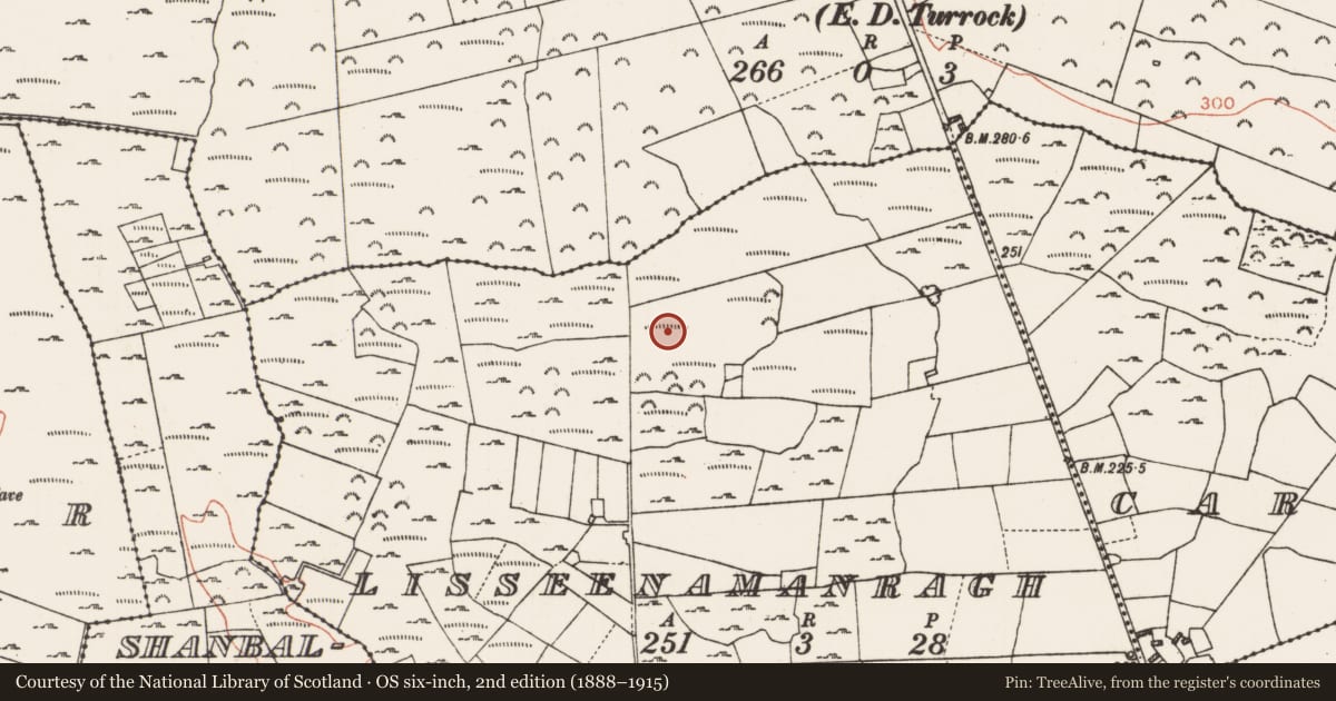 Ordnance Survey six-inch map, 2nd edition (1888–1915) covering the location of Ringfort - cashel, Lisseenamanragh, County Roscommon, with a pin at the register's coordinates