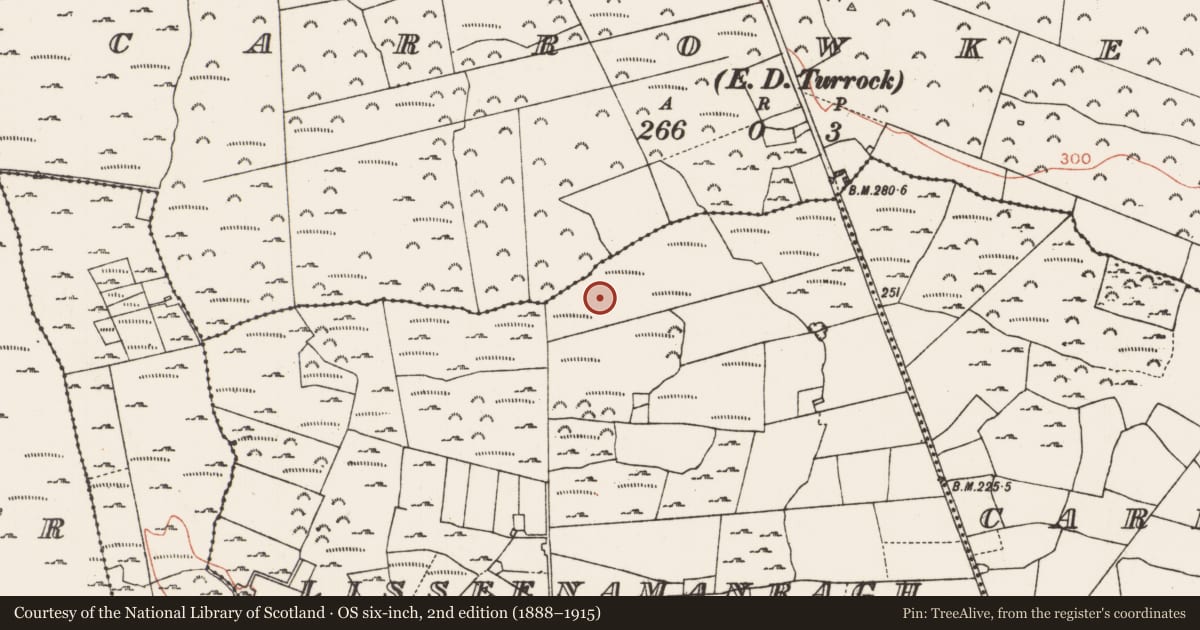 Ordnance Survey six-inch map, 2nd edition (1888–1915) covering the location of Field system, Lisseenamanragh, County Roscommon, with a pin at the register's coordinates