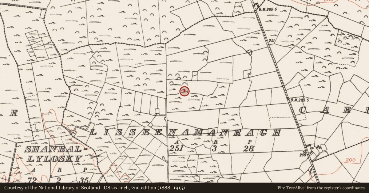 Ordnance Survey six-inch map, 2nd edition (1888–1915) covering the location of Ringfort - cashel, Lisseenamanragh, County Roscommon, with a pin at the register's coordinates