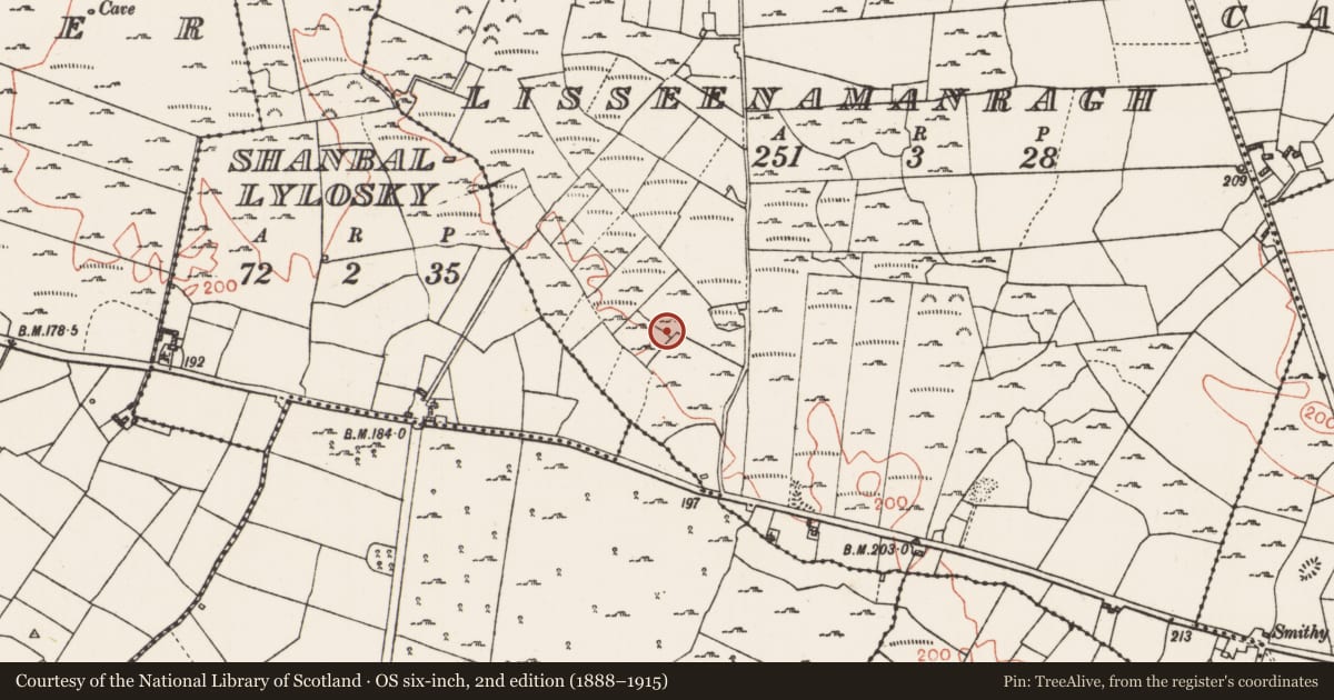 Ordnance Survey six-inch map, 2nd edition (1888–1915) covering the location of Field boundary, Lisseenamanragh, County Roscommon, with a pin at the register's coordinates