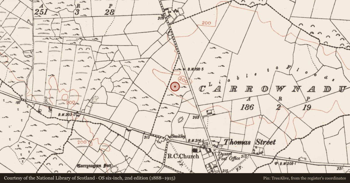 Ordnance Survey six-inch map, 2nd edition (1888–1915) covering the location of Field system, Carrownadurly, County Roscommon, with a pin at the register's coordinates