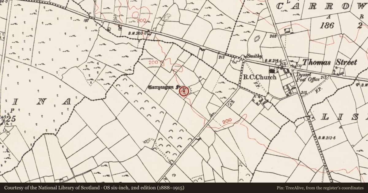 Ordnance Survey six-inch map, 2nd edition (1888–1915) covering the location of Ringfort - cashel, Garrynagran, County Roscommon, with a pin at the register's coordinates