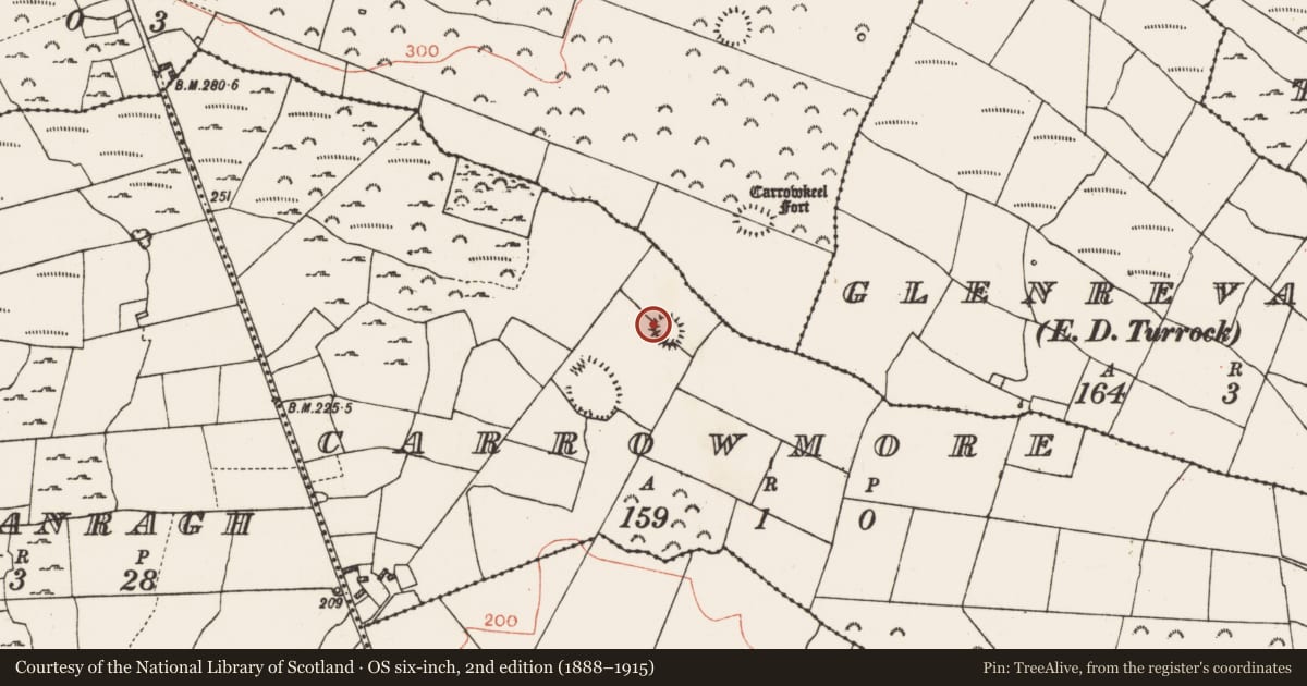 Ordnance Survey six-inch map, 2nd edition (1888–1915) covering the location of Ringfort - rath, Carrowmore, County Roscommon, with a pin at the register's coordinates