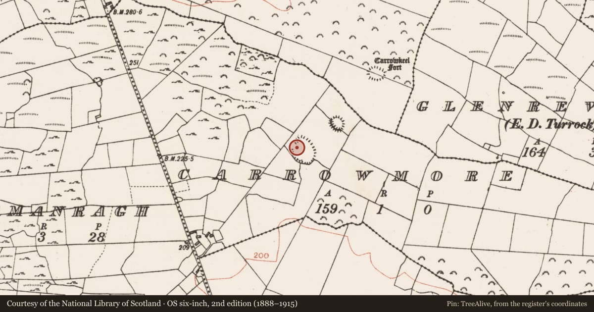 Ordnance Survey six-inch map, 2nd edition (1888–1915) covering the location of Ringfort - rath, Carrowmore, County Roscommon, with a pin at the register's coordinates
