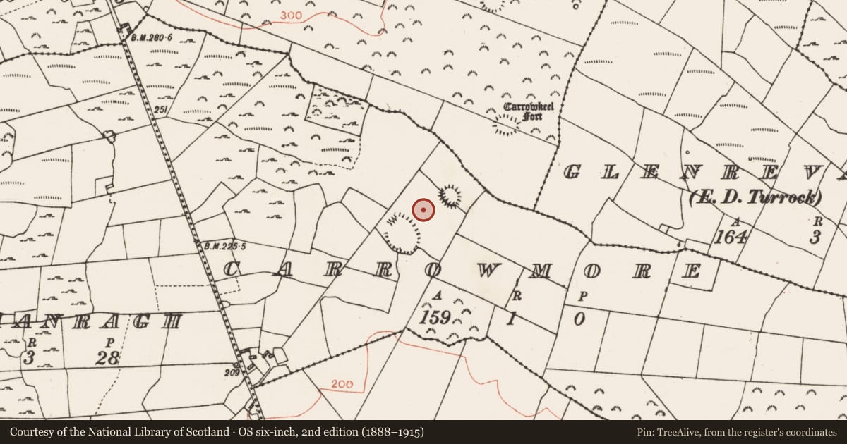 Ordnance Survey six-inch map, 2nd edition (1888–1915) covering the location of Field system, Carrowmore, County Roscommon, with a pin at the register's coordinates