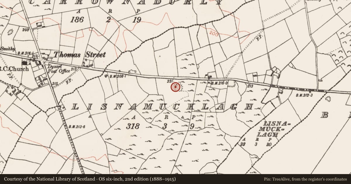 Ordnance Survey six-inch map, 2nd edition (1888–1915) covering the location of Ringfort - rath, Lisnamucklagh, County Roscommon, with a pin at the register's coordinates