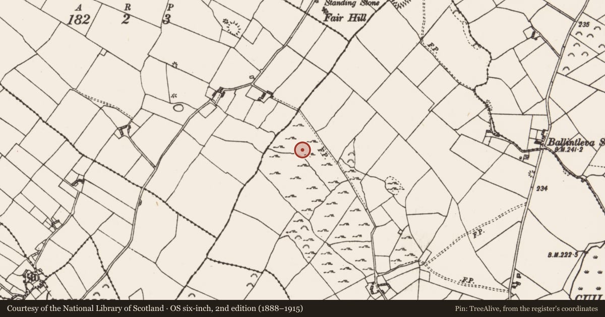 Ordnance Survey six-inch map, 2nd edition (1888–1915) covering the location of Ringfort - cashel, Cuilleenirwan, County Roscommon, with a pin at the register's coordinates