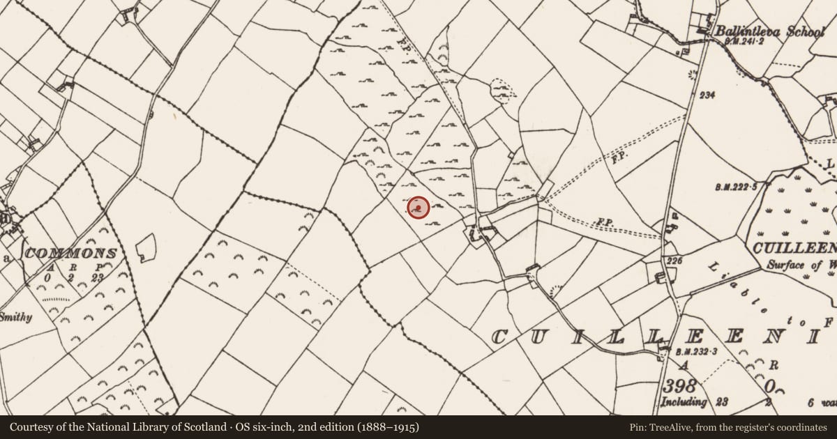 Ordnance Survey six-inch map, 2nd edition (1888–1915) covering the location of Field system, Cuilleenirwan, County Roscommon, with a pin at the register's coordinates