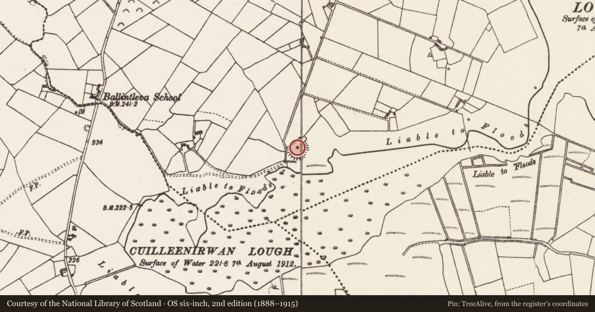 Ordnance Survey six-inch map, 2nd edition (1888–1915) covering the location of Ringfort - rath, Cornalee, County Roscommon, with a pin at the register's coordinates