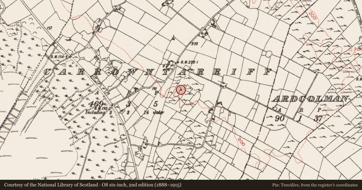 Ordnance Survey six-inch map, 2nd edition (1888–1915) covering the location of Field system, Carrowntarriff, County Roscommon, with a pin at the register's coordinates