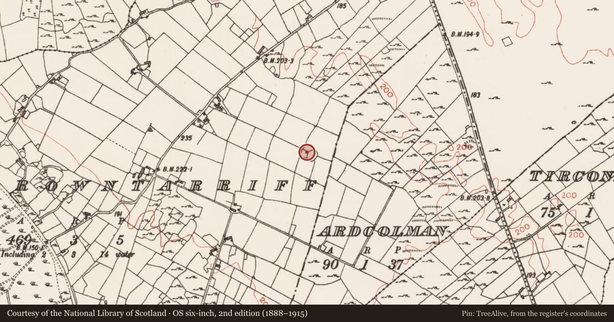 Ordnance Survey six-inch map, 2nd edition (1888–1915) covering the location of Ringfort - rath, Carrowntarriff, County Roscommon, with a pin at the register's coordinates