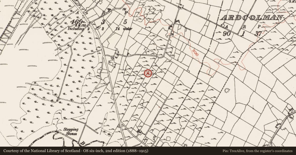 Ordnance Survey six-inch map, 2nd edition (1888–1915) covering the location of Field system, Carrowntarriff, County Roscommon, with a pin at the register's coordinates
