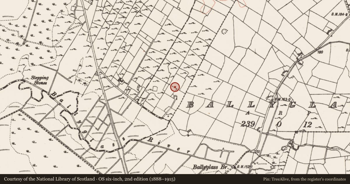 Ordnance Survey six-inch map, 2nd edition (1888–1915) covering the location of Field system, Carrowntarriff, Ardcolman, County Roscommon, with a pin at the register's coordinates
