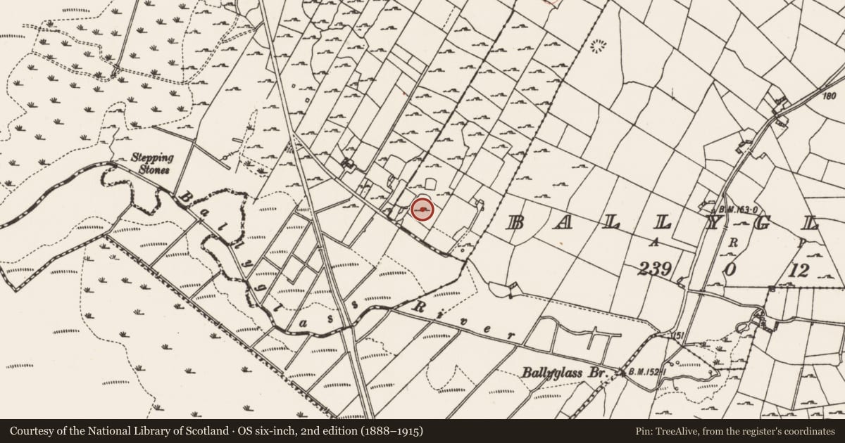 Ordnance Survey six-inch map, 2nd edition (1888–1915) covering the location of Sweathouse, Ardcolman, County Roscommon, with a pin at the register's coordinates