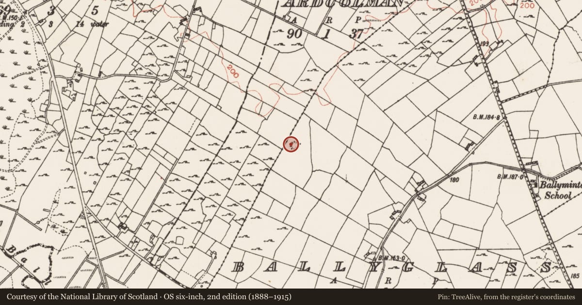 Ordnance Survey six-inch map, 2nd edition (1888–1915) covering the location of Ringfort - rath, Ballyglass, County Roscommon, with a pin at the register's coordinates