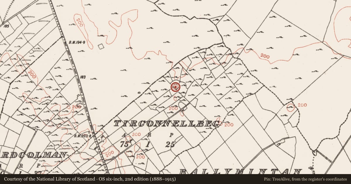 Ordnance Survey six-inch map, 2nd edition (1888–1915) covering the location of Enclosure - large enclosure, Tirconnellbeg, County Roscommon, with a pin at the register's coordinates