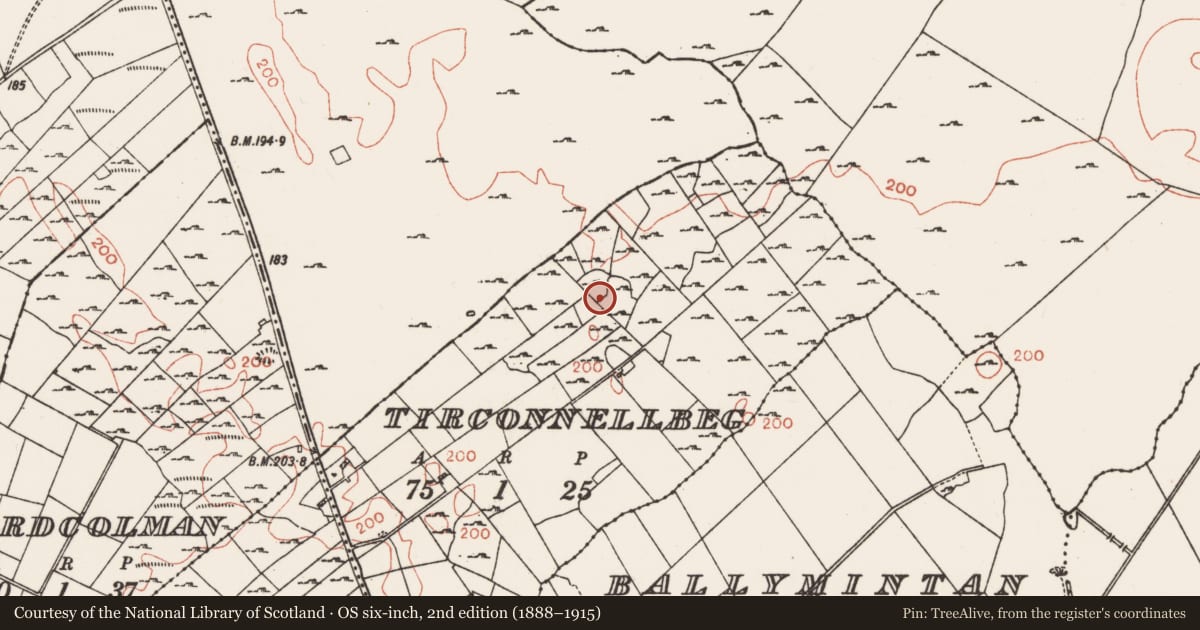 Ordnance Survey six-inch map, 2nd edition (1888–1915) covering the location of Field boundary, Tirconnellbeg, County Roscommon, with a pin at the register's coordinates