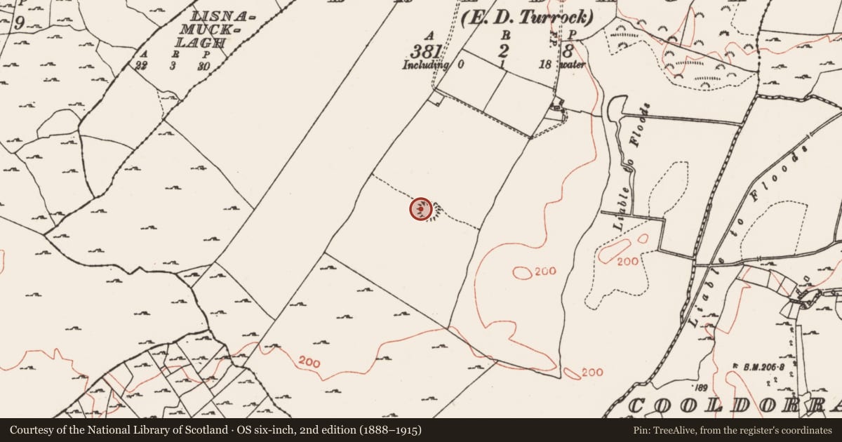 Ordnance Survey six-inch map, 2nd edition (1888–1915) covering the location of Burial, Bredagh, County Roscommon, with a pin at the register's coordinates