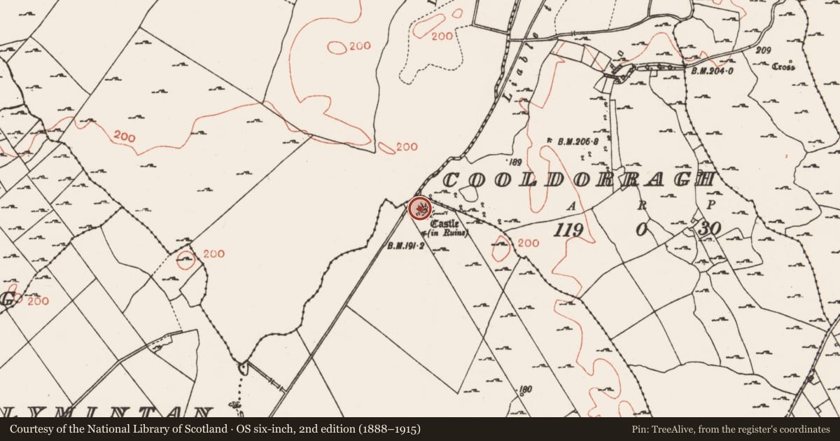 Ordnance Survey six-inch map, 2nd edition (1888–1915) covering the location of Castle - unclassified, Milltown, County Roscommon, with a pin at the register's coordinates
