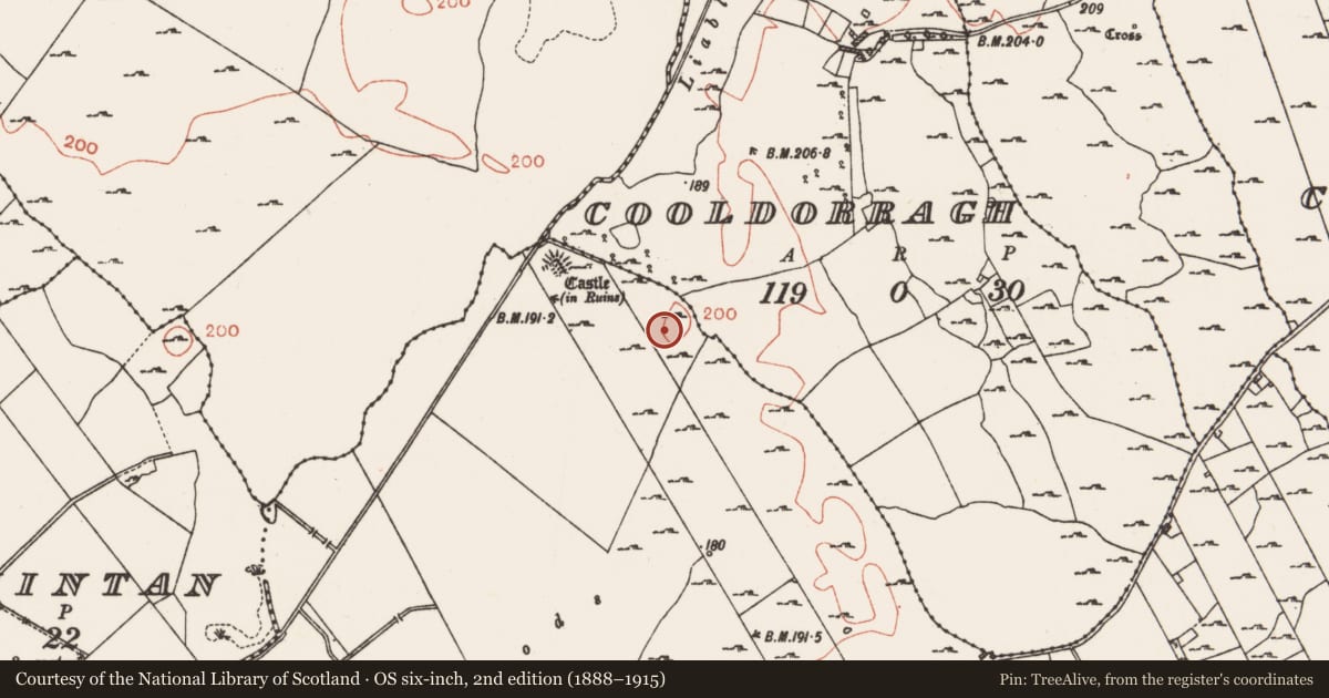Ordnance Survey six-inch map, 2nd edition (1888–1915) covering the location of Ringfort - cashel, Milltown, County Roscommon, with a pin at the register's coordinates