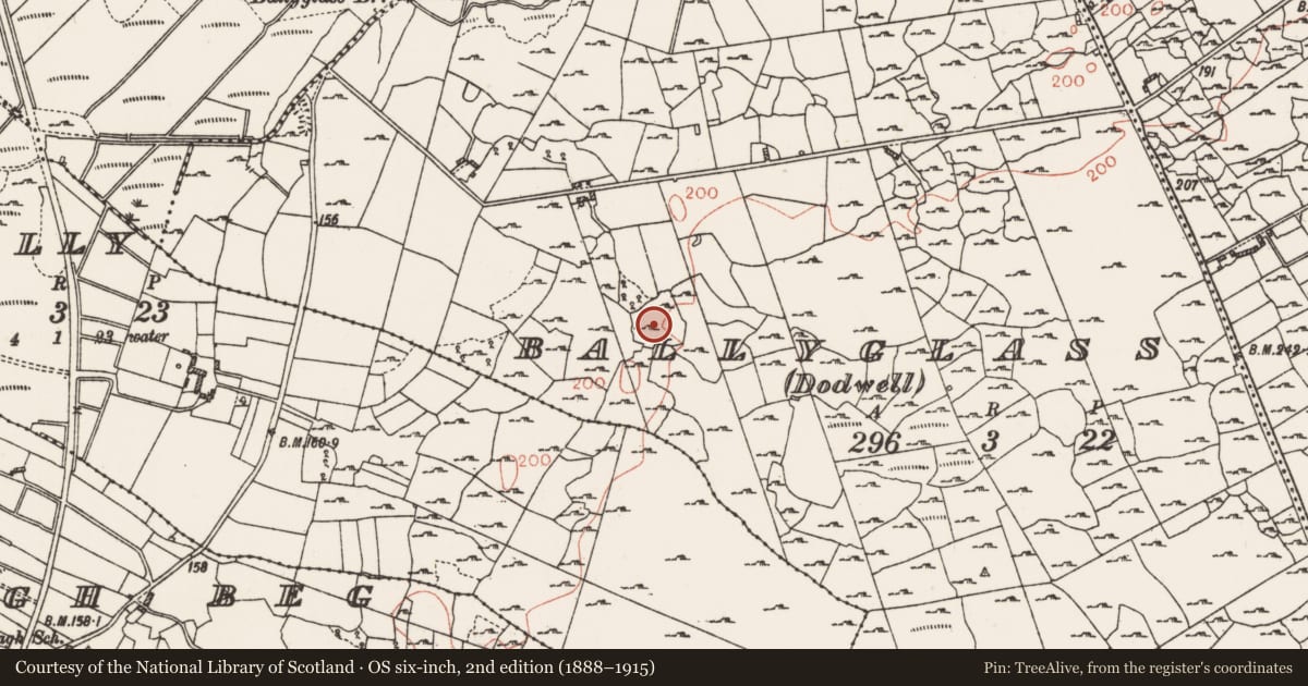 Ordnance Survey six-inch map, 2nd edition (1888–1915) covering the location of Enclosure, Ballyglass (Dodwell), County Roscommon, with a pin at the register's coordinates