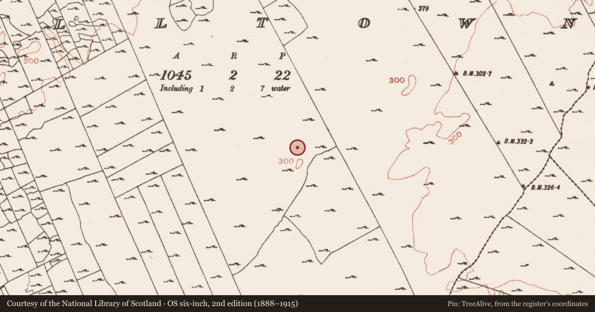Ordnance Survey six-inch map, 2nd edition (1888–1915) covering the location of Ringfort - cashel, Milltown, County Roscommon, with a pin at the register's coordinates