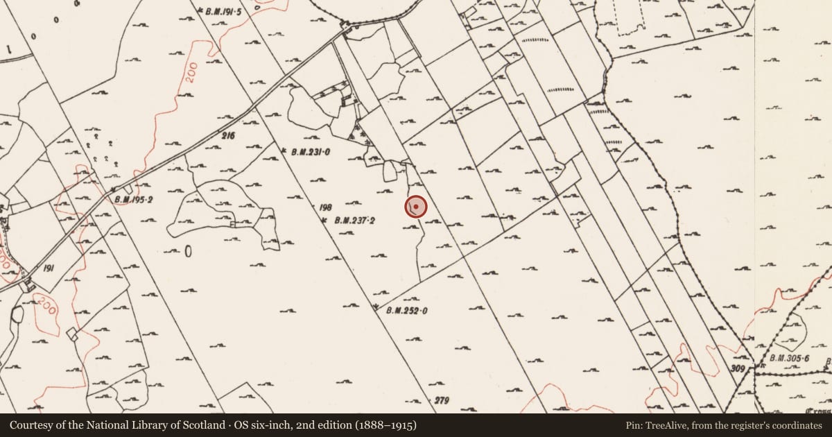 Ordnance Survey six-inch map, 2nd edition (1888–1915) covering the location of Enclosure, Milltown, County Roscommon, with a pin at the register's coordinates