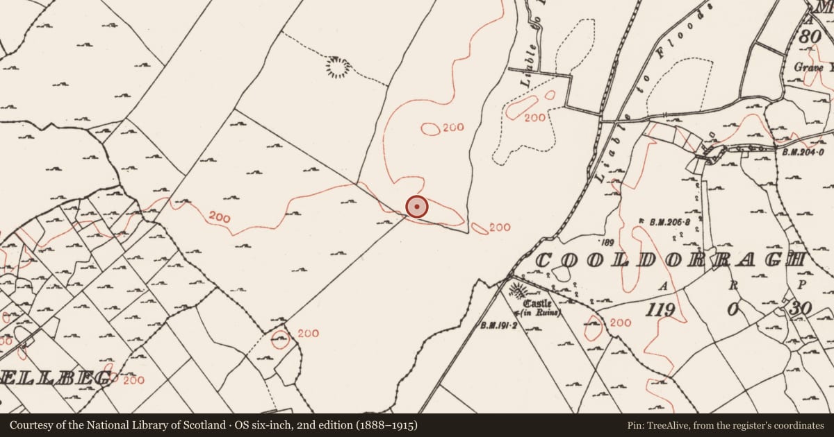 Ordnance Survey six-inch map, 2nd edition (1888–1915) covering the location of Barrow - unclassified, Bredagh, County Roscommon, with a pin at the register's coordinates