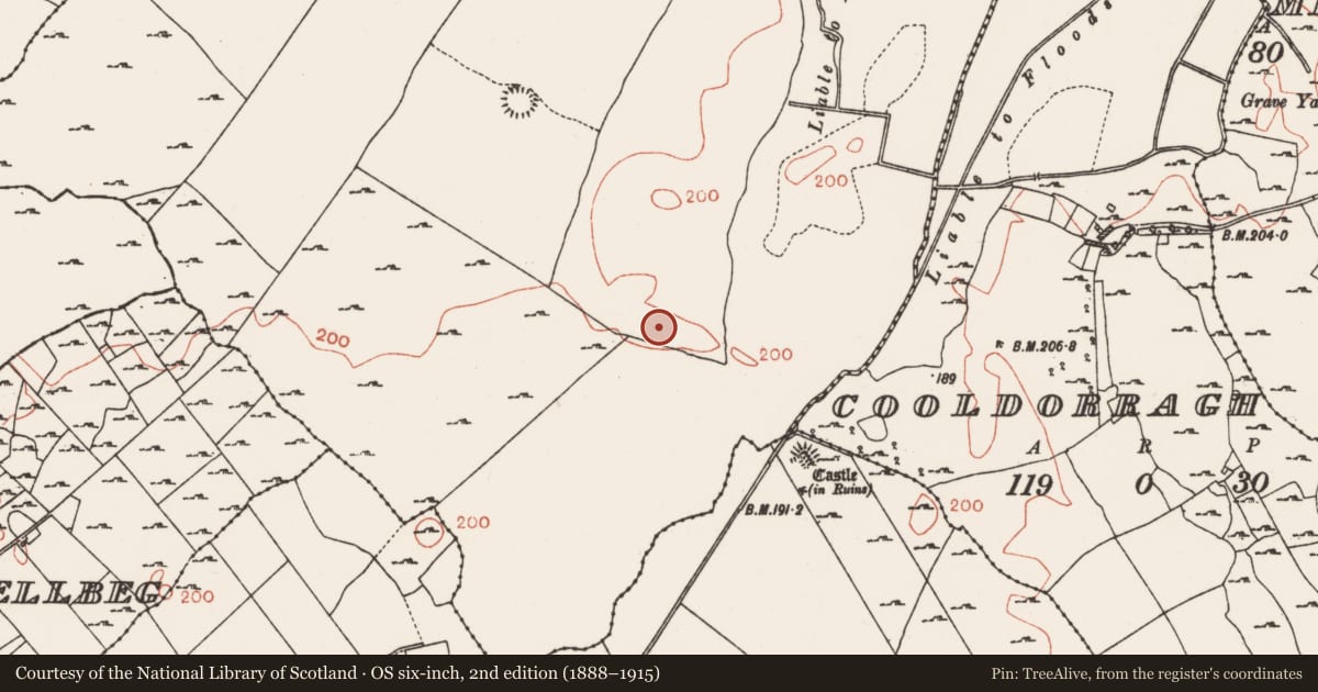 Ordnance Survey six-inch map, 2nd edition (1888–1915) covering the location of Barrow - stepped barrow, Bredagh, County Roscommon, with a pin at the register's coordinates