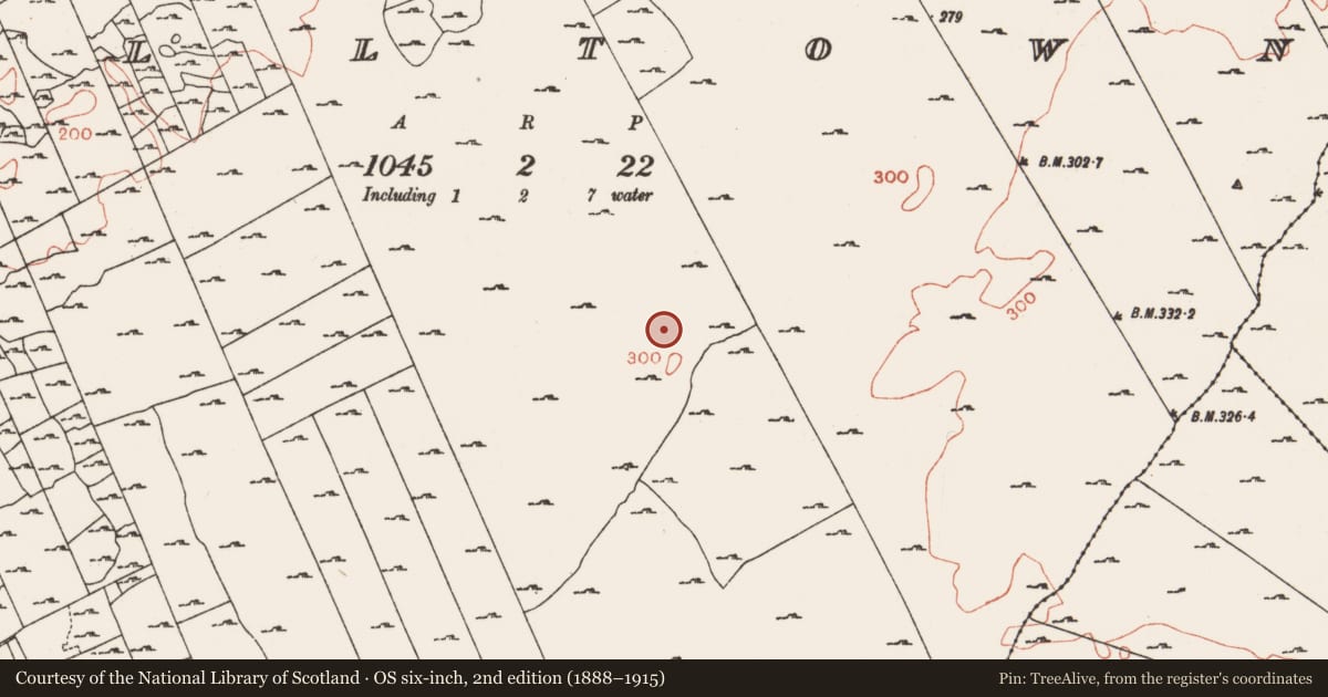 Ordnance Survey six-inch map, 2nd edition (1888–1915) covering the location of Hut site, Milltown, County Roscommon, with a pin at the register's coordinates