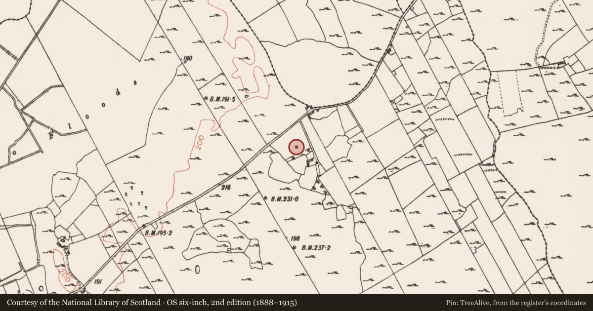Ordnance Survey six-inch map, 2nd edition (1888–1915) covering the location of Headstone, Milltown, County Roscommon, with a pin at the register's coordinates