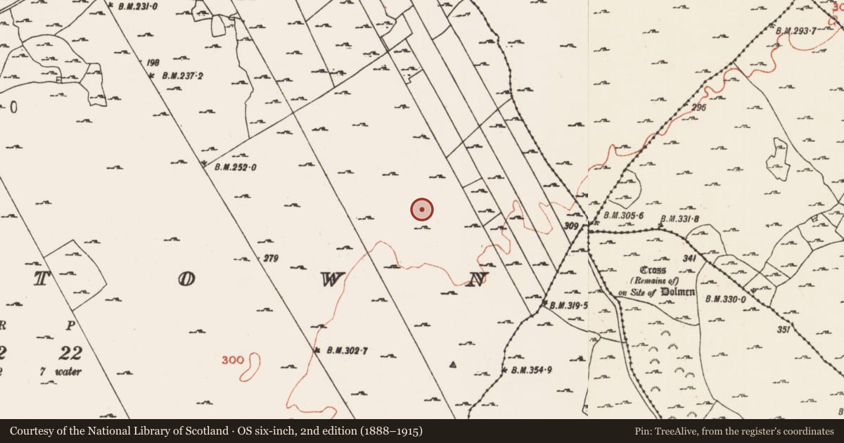Ordnance Survey six-inch map, 2nd edition (1888–1915) covering the location of Field system, Milltown, County Roscommon, with a pin at the register's coordinates