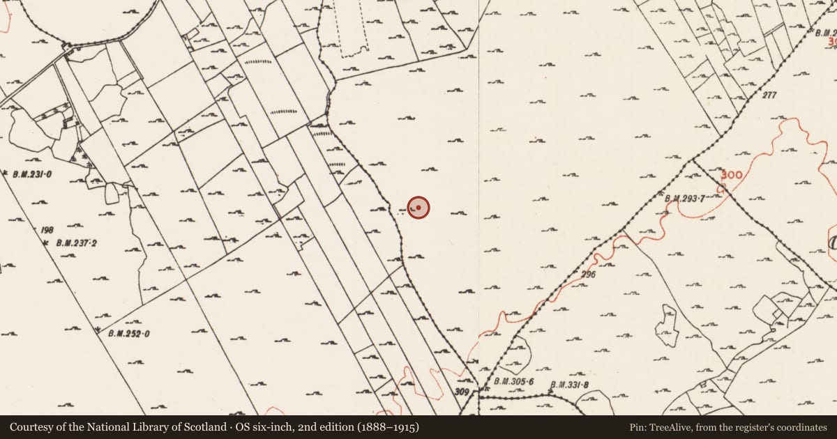 Ordnance Survey six-inch map, 2nd edition (1888–1915) covering the location of Field system, Cuilleenoolagh, County Roscommon, with a pin at the register's coordinates