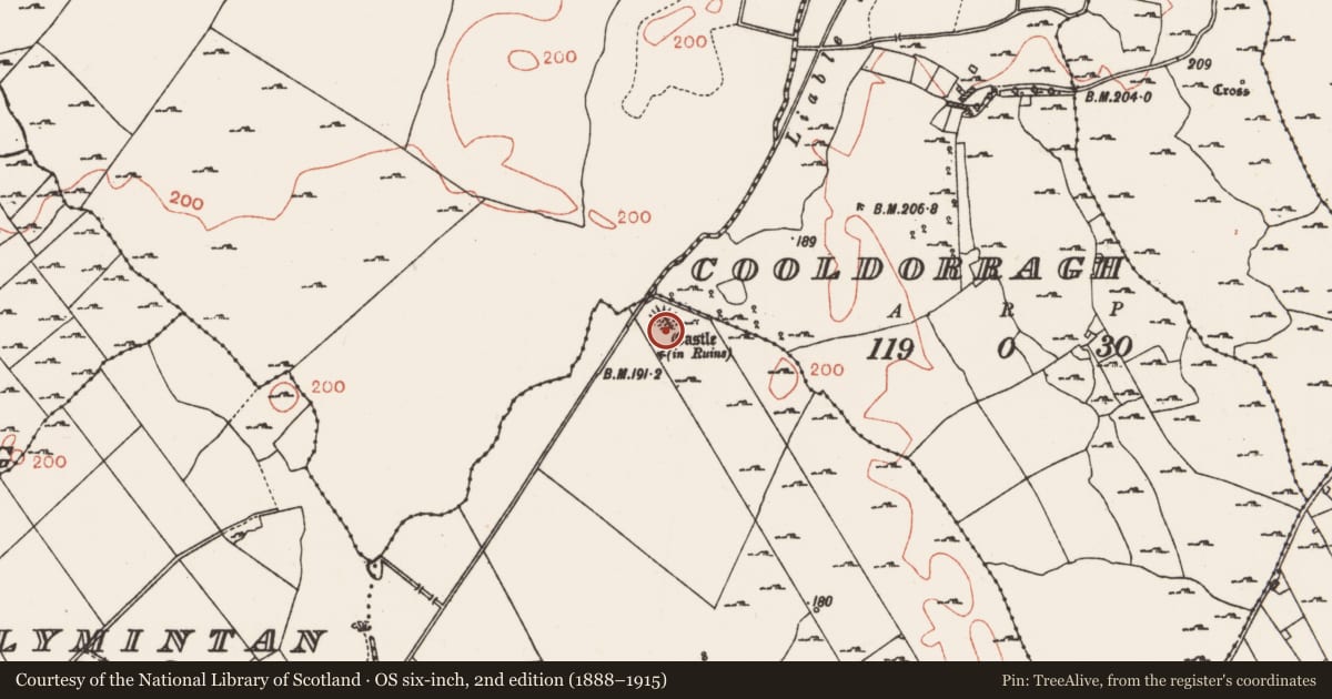 Ordnance Survey six-inch map, 2nd edition (1888–1915) covering the location of Building, Milltown, County Roscommon, with a pin at the register's coordinates