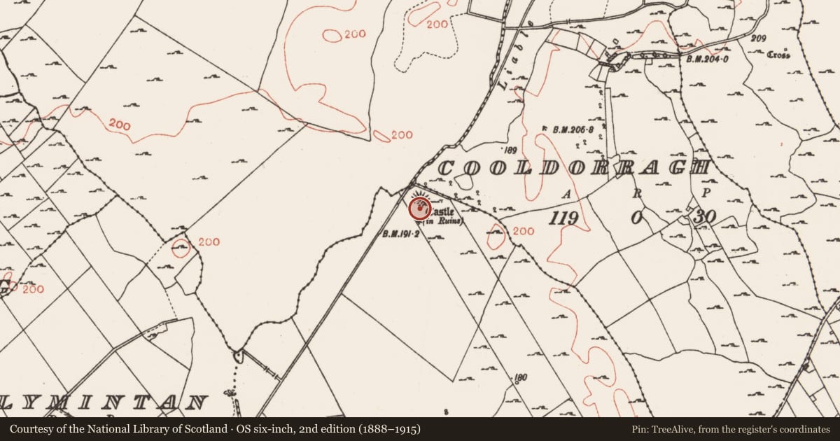 Ordnance Survey six-inch map, 2nd edition (1888–1915) covering the location of Building, Milltown, County Roscommon, with a pin at the register's coordinates