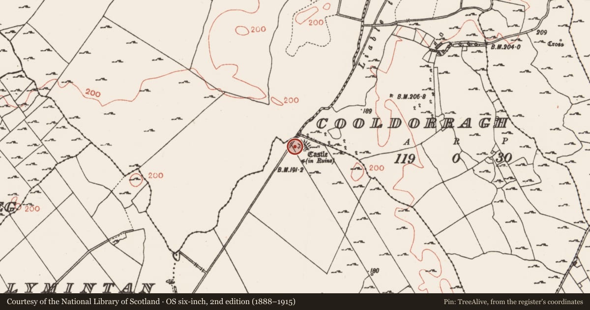 Ordnance Survey six-inch map, 2nd edition (1888–1915) covering the location of Building, Milltown, County Roscommon, with a pin at the register's coordinates
