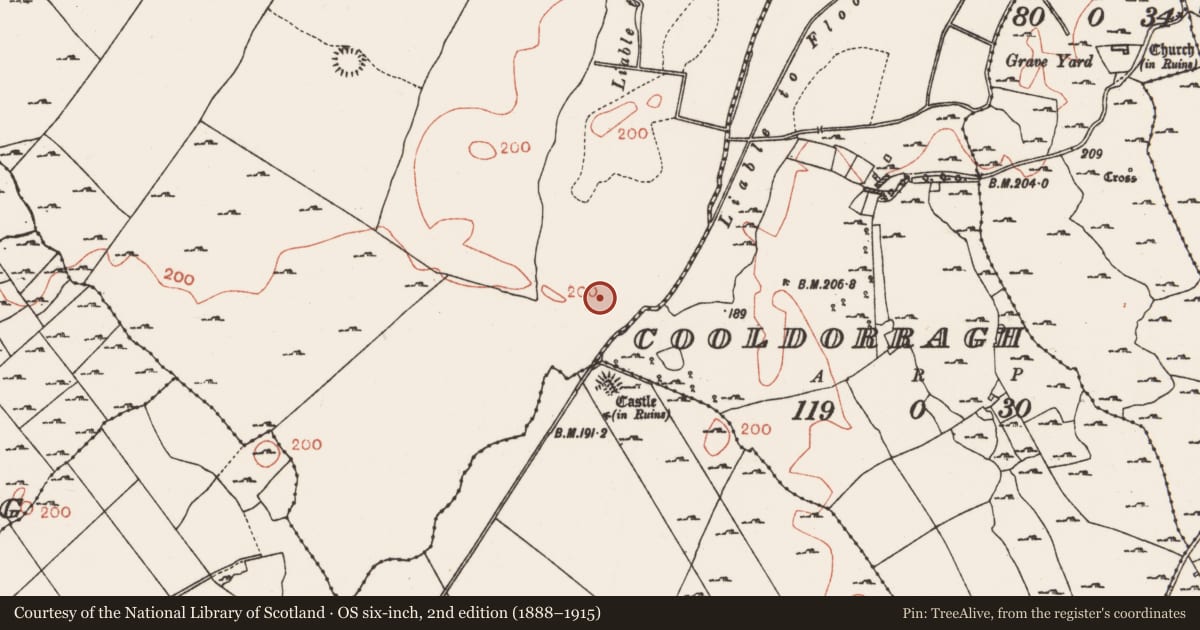 Ordnance Survey six-inch map, 2nd edition (1888–1915) covering the location of Field system, County Roscommon, with a pin at the register's coordinates