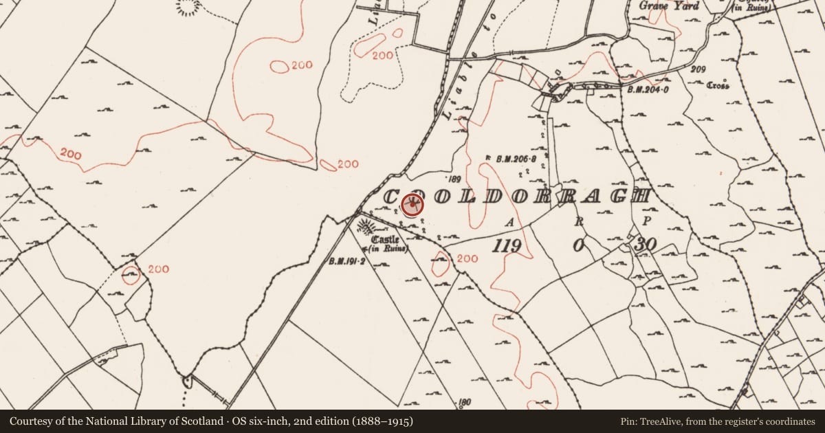Ordnance Survey six-inch map, 2nd edition (1888–1915) covering the location of House - indeterminate date, Cooldorragh, County Roscommon, with a pin at the register's coordinates